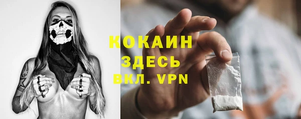 молекула духа Зерноград