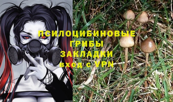 молекула духа Зерноград