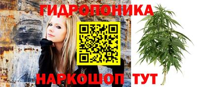 гидра Тулун