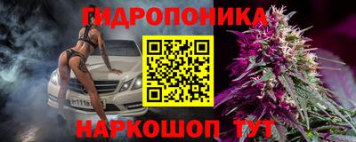 гидра Тулун