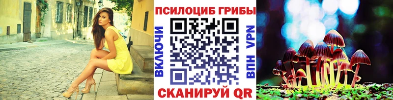 Псилоцибиновые грибы GOLDEN TEACHER Чита