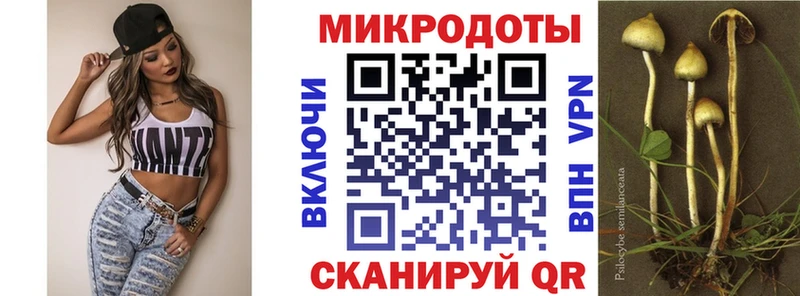 Псилоцибиновые грибы GOLDEN TEACHER  Чита 