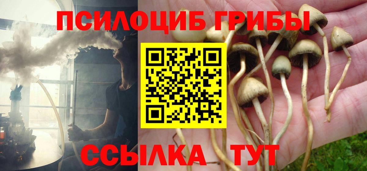 Галлюциногенные грибы Cubensis Чита