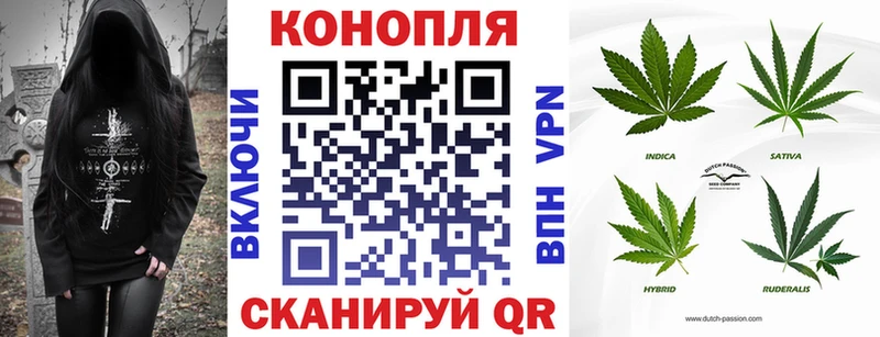 Марихуана гибрид Чита