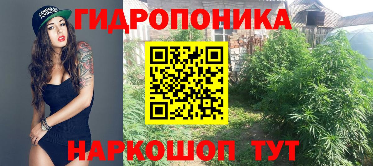 Конопля конопля Чита
